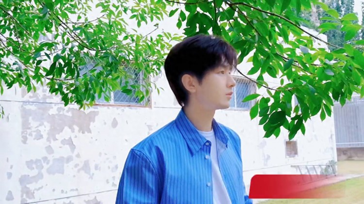 2023微博涨粉明星top10,有你家那个吗?#白鹿